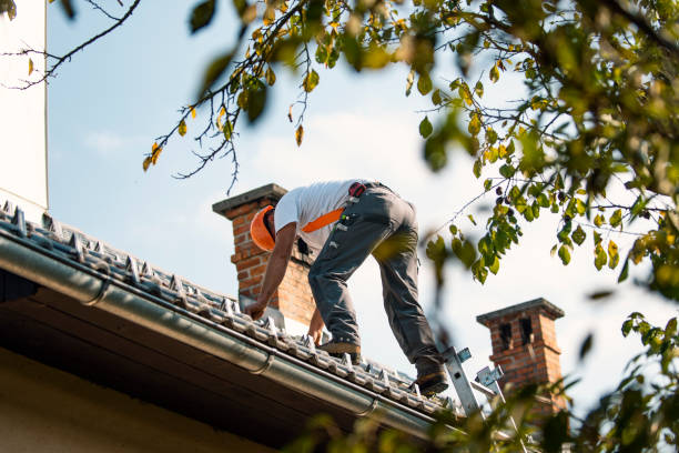 Best Green or Eco-Friendly Roofing Solutions  in Argentine, MI
